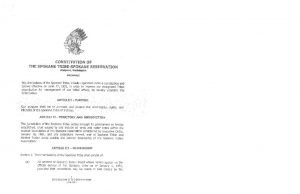 thumbnail of Tribal Constitution 1951