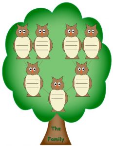 thumbnail of 1000-Owl-Genealogy-Tree